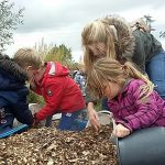 Natuurwerkdag 2016 bevers scouting leeuwarden
